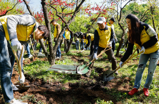 대림그룹 임직원과 가족들이 남산 야외식물원 살구나무단지에 거름 주기 활동을 하고 있다. <대림그룹 제공>